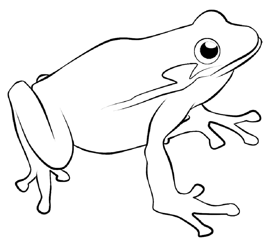 frog images to color frogs coloring pages to download and print for free color to frog images 