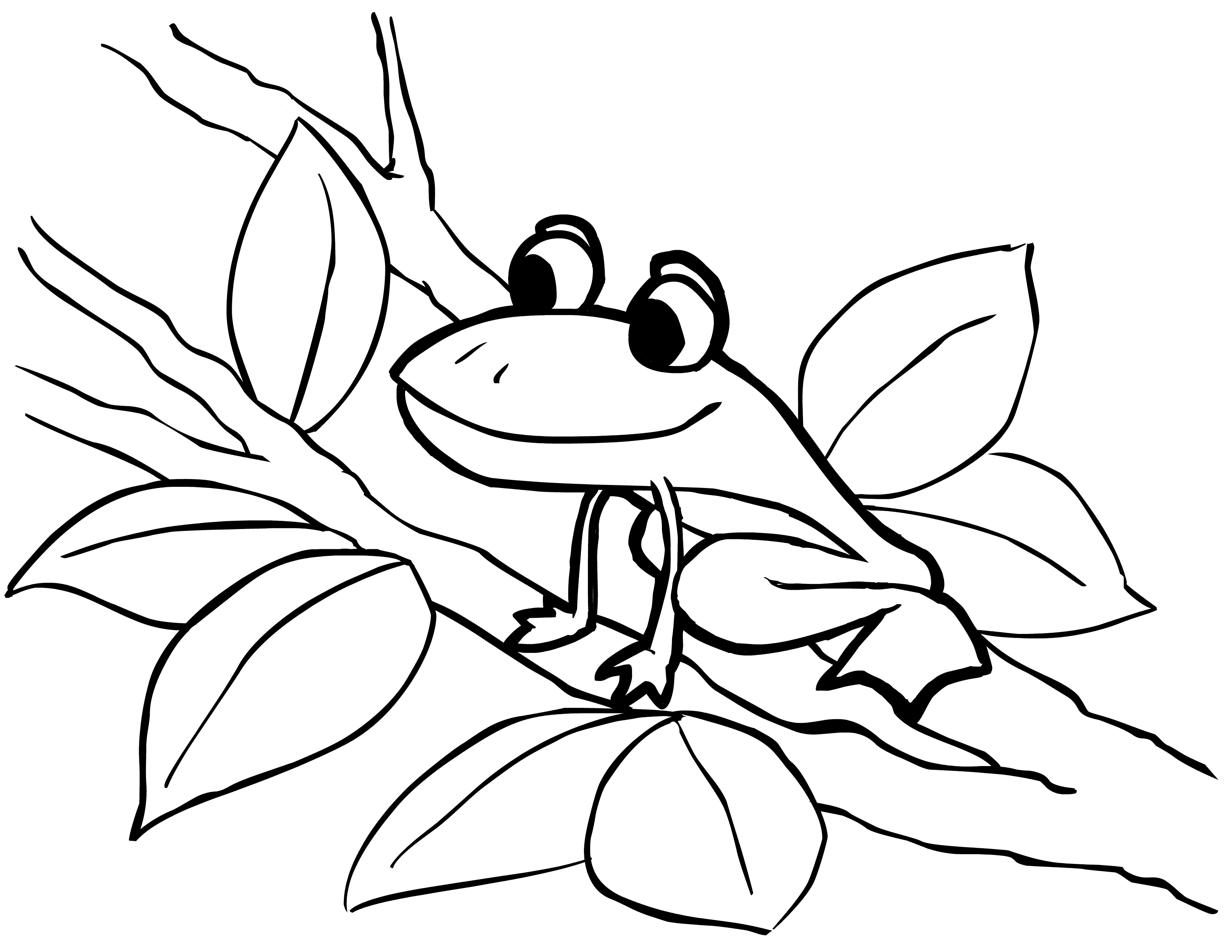 frog images to color printable cartoon cute frog character for kids coloring to frog images color 