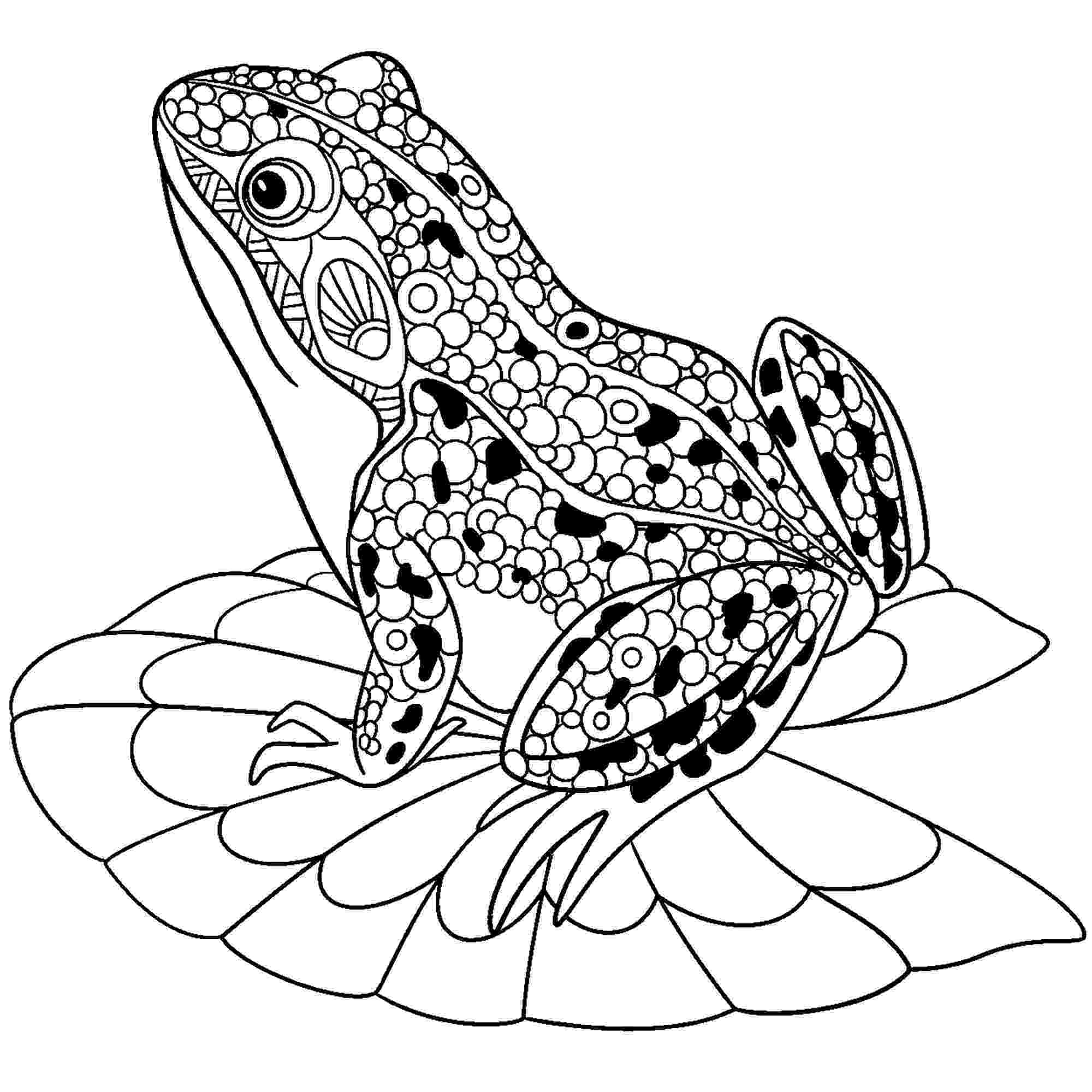 frogs coloring pages free frog coloring pages coloring pages frogs 