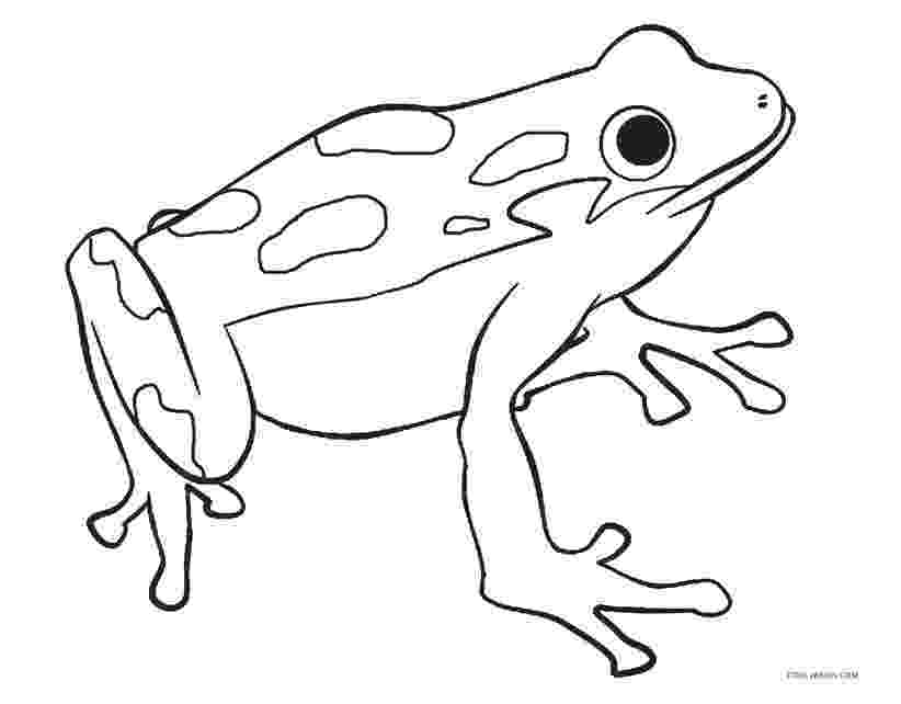 frogs coloring pages free frog drawing download free clip art free clip art pages coloring frogs 