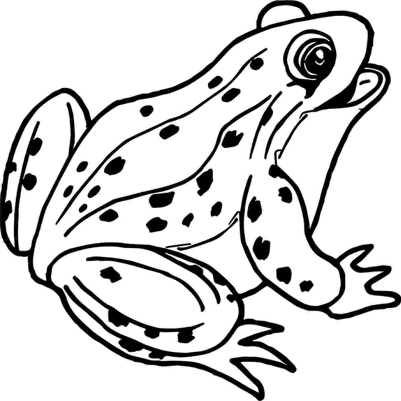 frogs coloring pages free printable frog coloring pages for kids frogs coloring pages 1 1