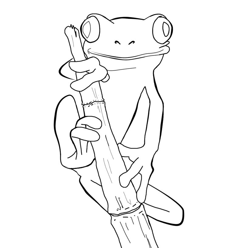 frogs coloring pages free printable frog coloring pages for kids pages coloring frogs 
