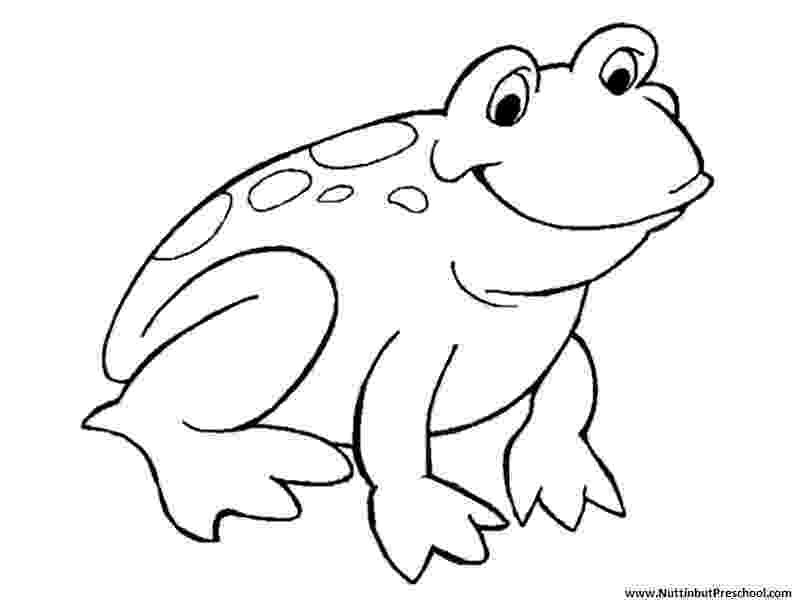 frogs coloring pages frog coloring pages to print frogs pages coloring 