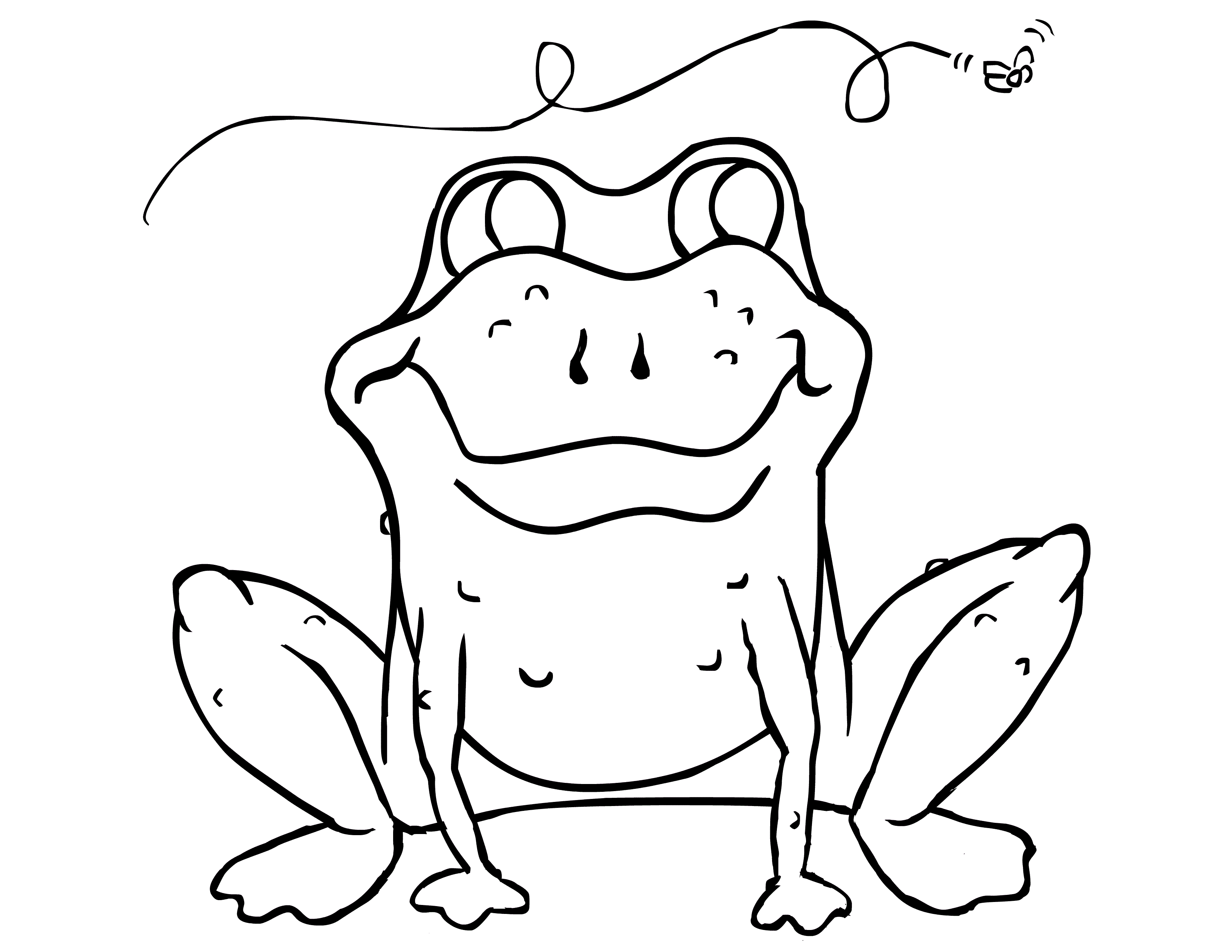 frogs coloring pages frog outline free download on clipartmag frogs coloring pages 