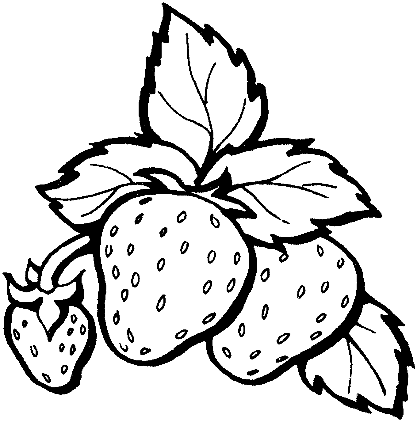 fruit coloring pages pin about fruit coloring pages on coloring pages at coloring fruit pages 