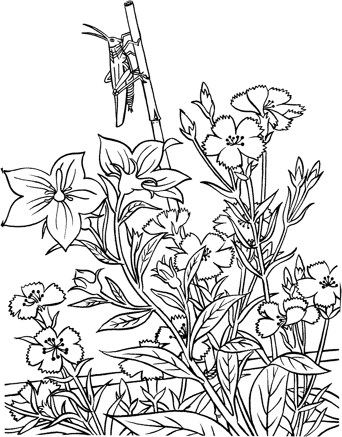 garden pictures to color minnie mouse working in the garden coloring pages color luna color garden pictures to 