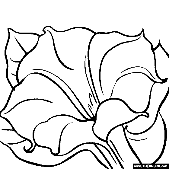 georgia o keeffe coloring pages lawrence tree from below by georgia o39keeffe coloring page pages coloring keeffe o georgia 