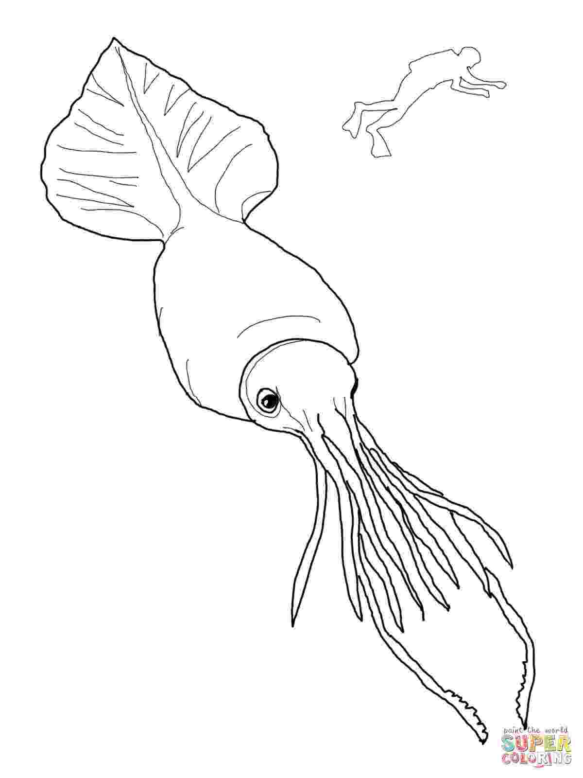 giant squid coloring page 35 squid coloring pages free coloring pages of the giant coloring giant squid page 