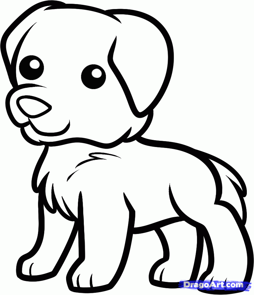 golden retriever puppy coloring pages dog breed coloring pages puppy retriever pages golden coloring 