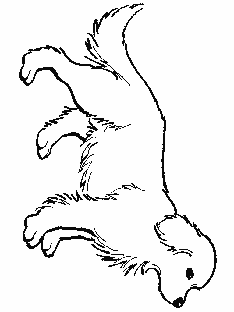 golden retriever puppy coloring pages easy to draw golden retriever google search dog pages coloring golden retriever puppy 