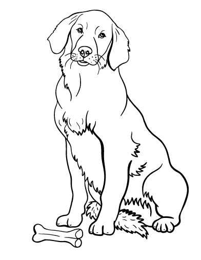 golden retriever puppy coloring pages golden retriever puppies coloring pages coloring home retriever coloring pages golden puppy 