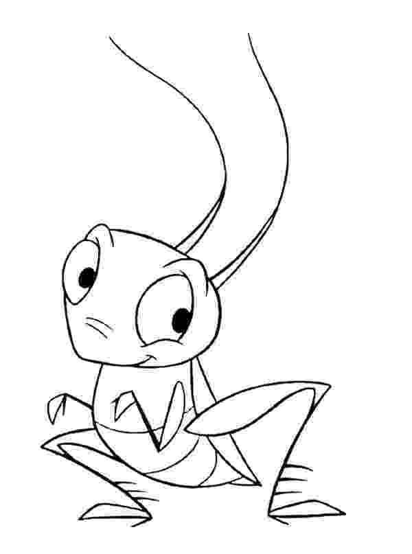 grasshopper coloring page coloring pages of grasshoppers page grasshopper coloring 