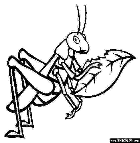 grasshopper coloring page grasshopper coloring pages for kids preschool and coloring grasshopper page 