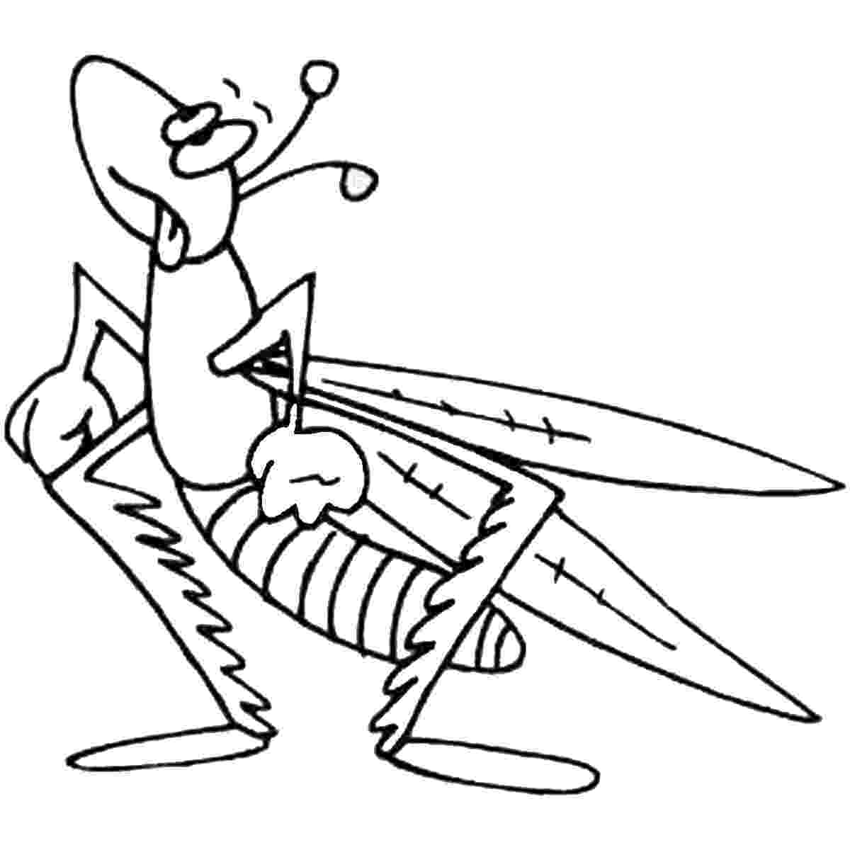 grasshopper coloring page grasshopper coloring pages for kids preschool and grasshopper page coloring 