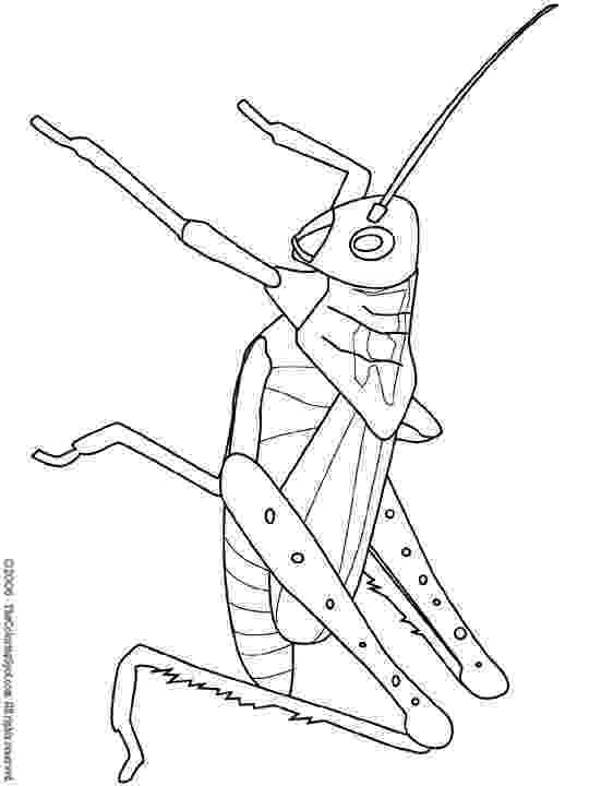 grasshopper coloring page grasshopper with present coloring page download print page grasshopper coloring 