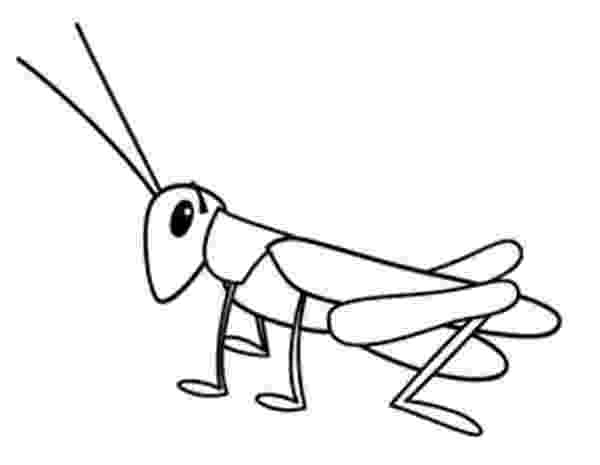grasshopper coloring pages grasshopper drawing clipart panda free clipart images pages grasshopper coloring 