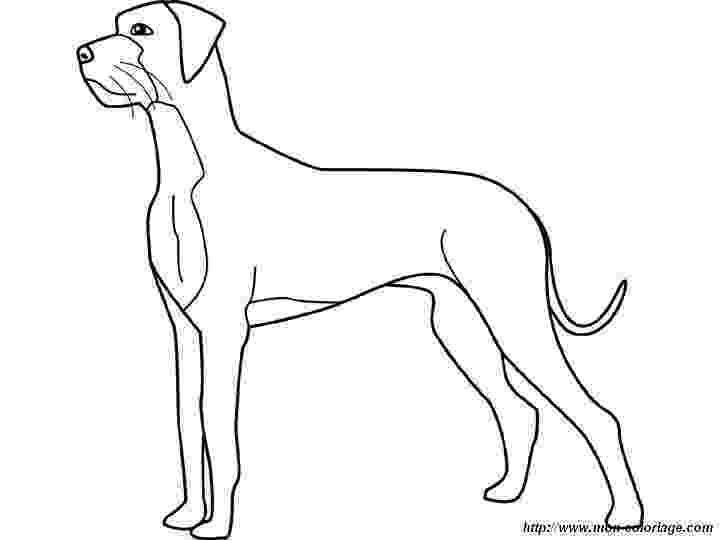 great dane coloring pages 74 best a coloring book pages images on pinterest coloring dane great pages 