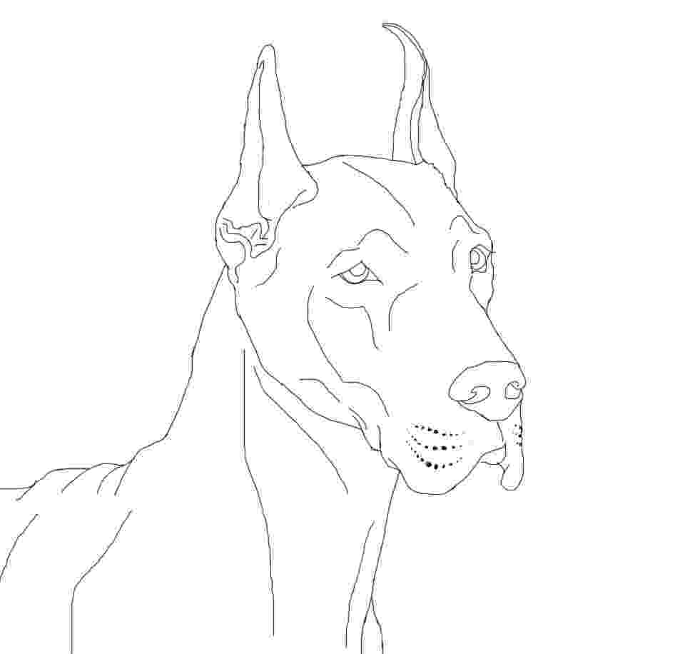 great dane coloring pages great dane coloring download sketch coloring page great dane coloring pages 