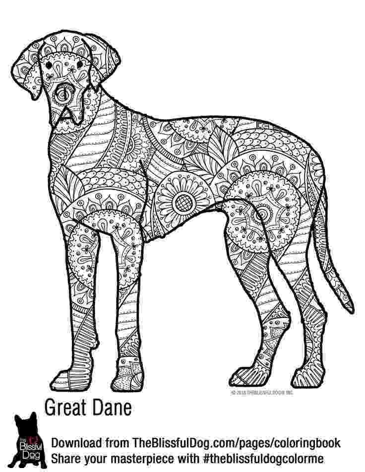 great dane coloring pages great dane dog coloring pages coloring home dane coloring great pages 