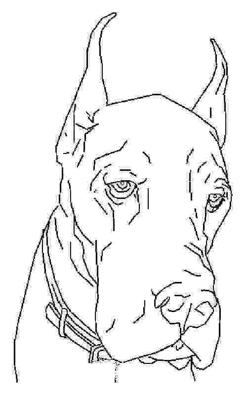 great dane coloring pages great dane harlequin natural ears decal dog angry coloring dane great pages 