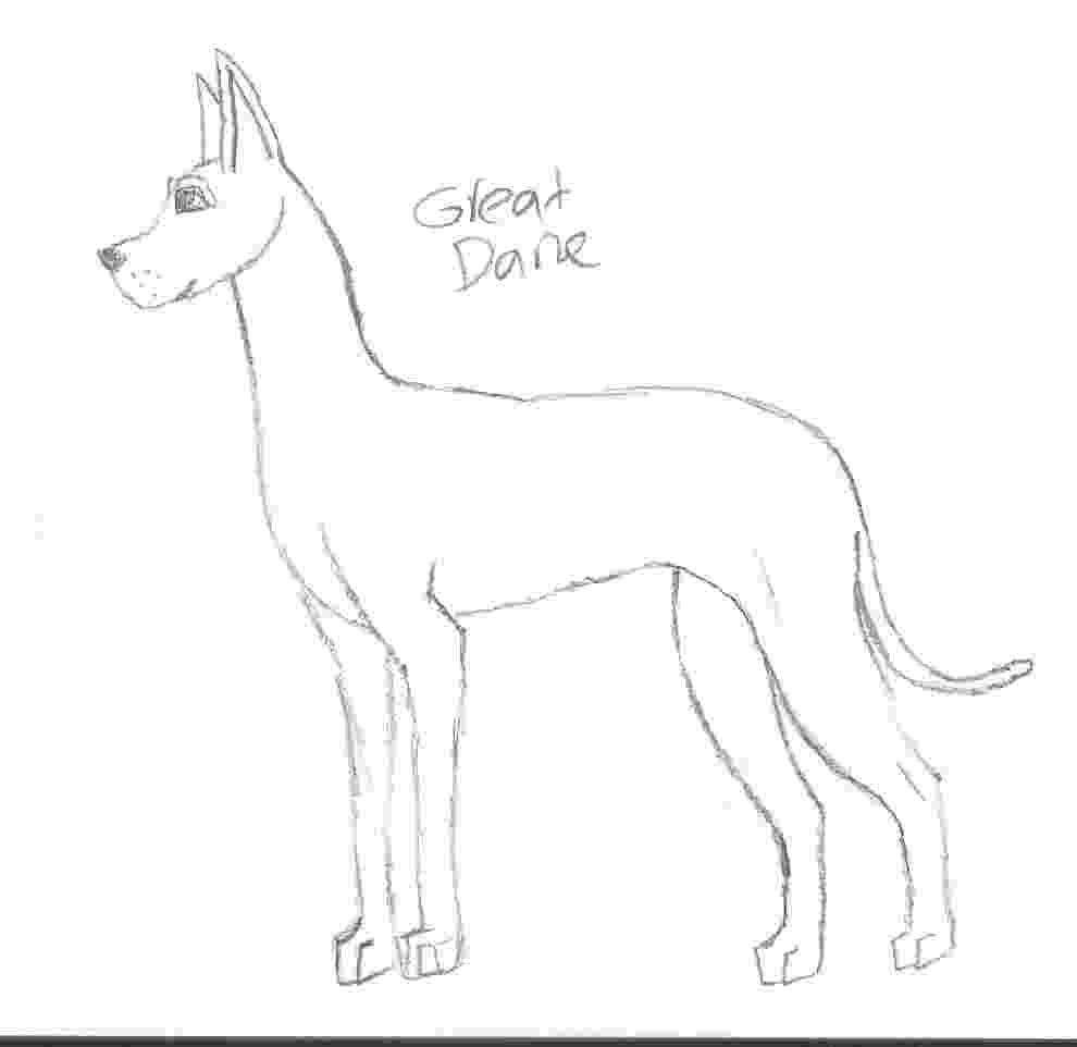 great dane coloring pages great dane lineart by australianshepkennel on deviantart dane pages coloring great 