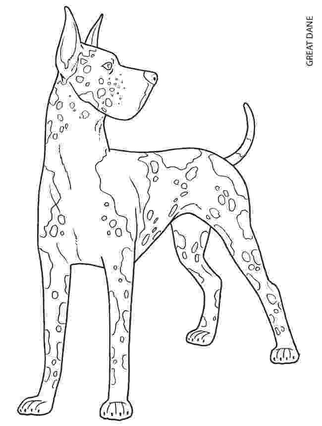 great dane coloring pages great dane lps coloring pages coloring pages pages coloring dane great 