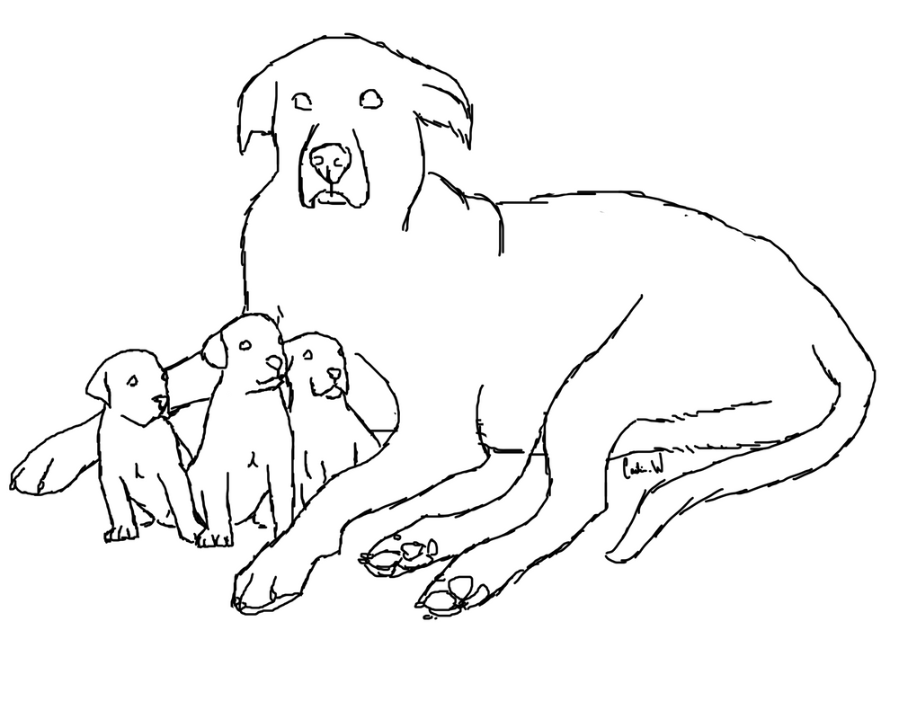 great dane coloring pages how to draw a great dane step by step pets animals great dane pages coloring 