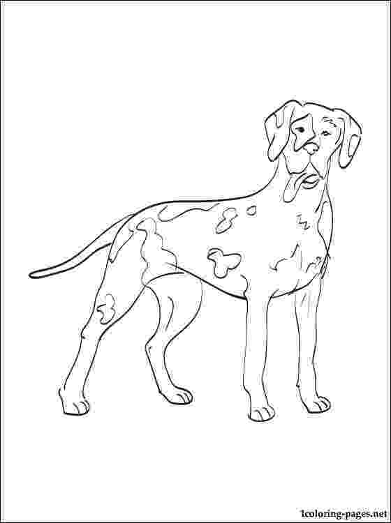 great dane coloring pages online coloring pages starting with the letter g page 4 dane pages coloring great 