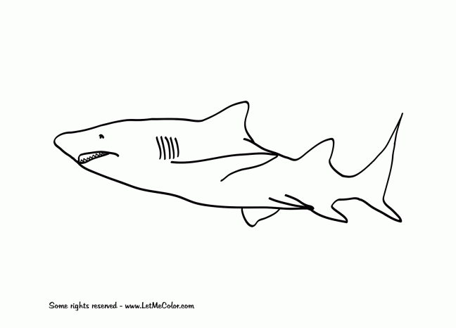 great white shark coloring pictures coloring pages shark coloring pages free and printable white great shark pictures coloring 