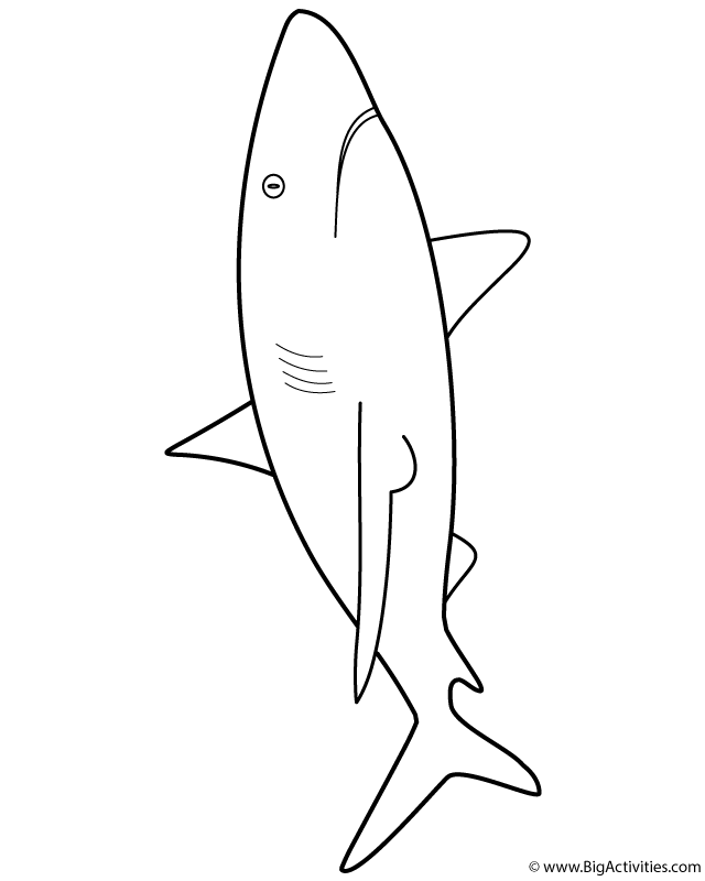 great white shark coloring pictures free printable shark coloring pages for kids great shark pictures coloring white 