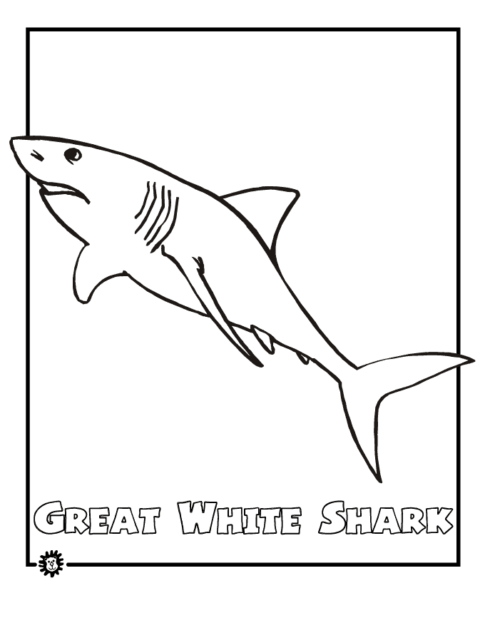 great white shark coloring pictures great white shark coloring pages downloadable and great white shark pictures coloring 