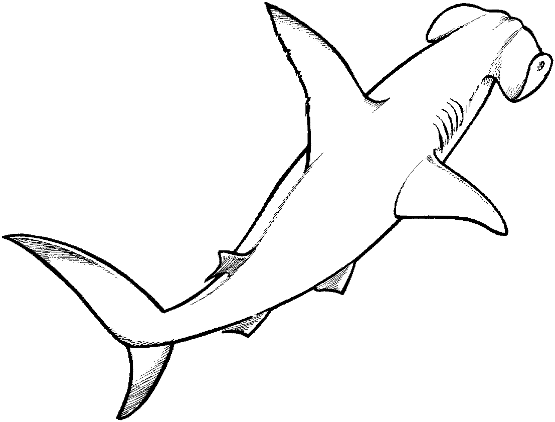 great white shark coloring pictures great white shark coloring pages to download and print for great coloring shark pictures white 