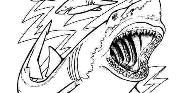 great white shark coloring pictures great white shark coloring pages to download and print for pictures white great coloring shark 
