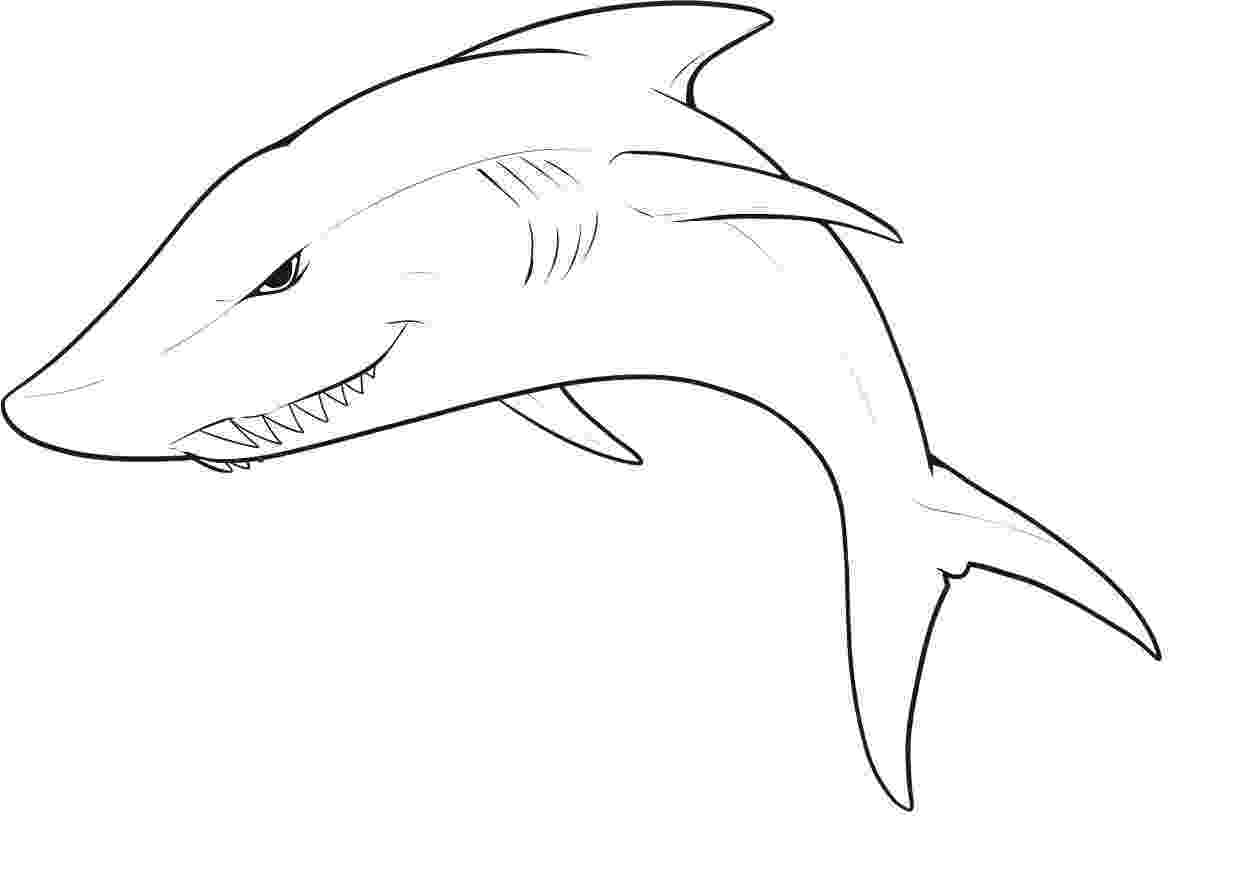 great white shark coloring pictures shark coloring pages to download and print for free white pictures shark coloring great 