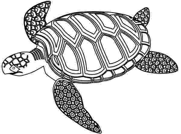 green sea turtle coloring page mozaic green sea turtle coloring page download print page turtle green coloring sea 