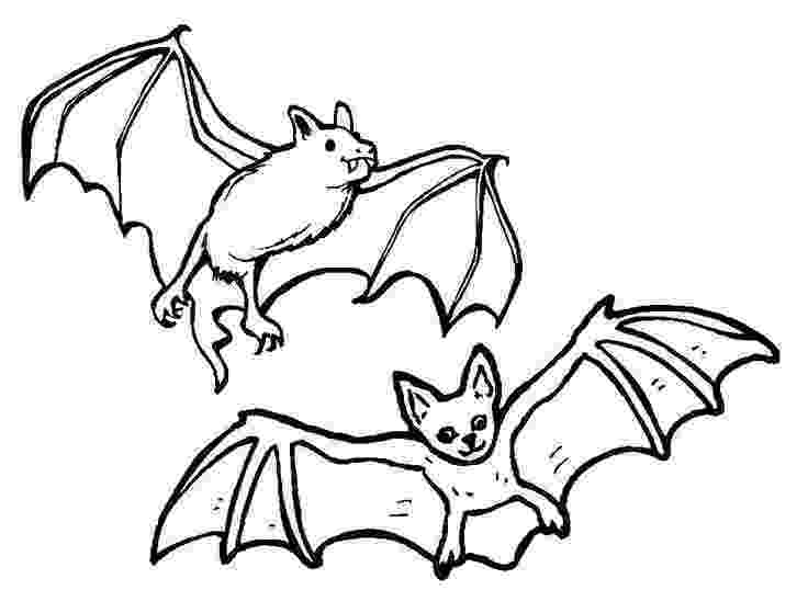 halloween bats coloring pages a picture paints a thousand words pumpkin cat and a bat halloween pages coloring bats 