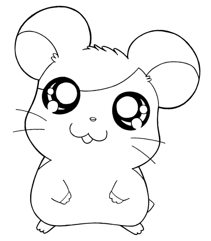 hamster colouring hamster coloring pages best coloring pages for kids colouring hamster 