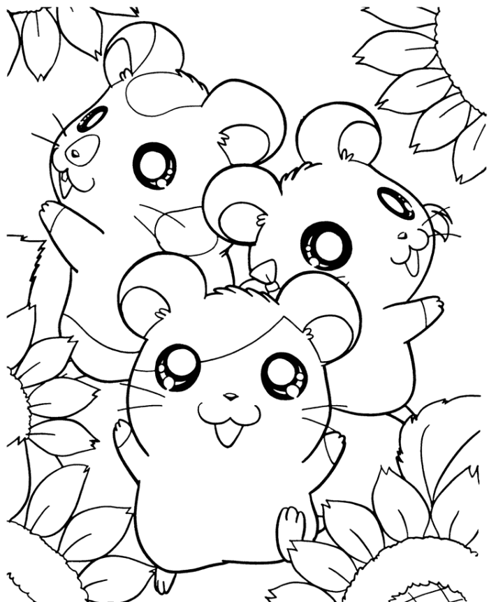 hamster colouring hamster coloring pages getcoloringpagescom colouring hamster 