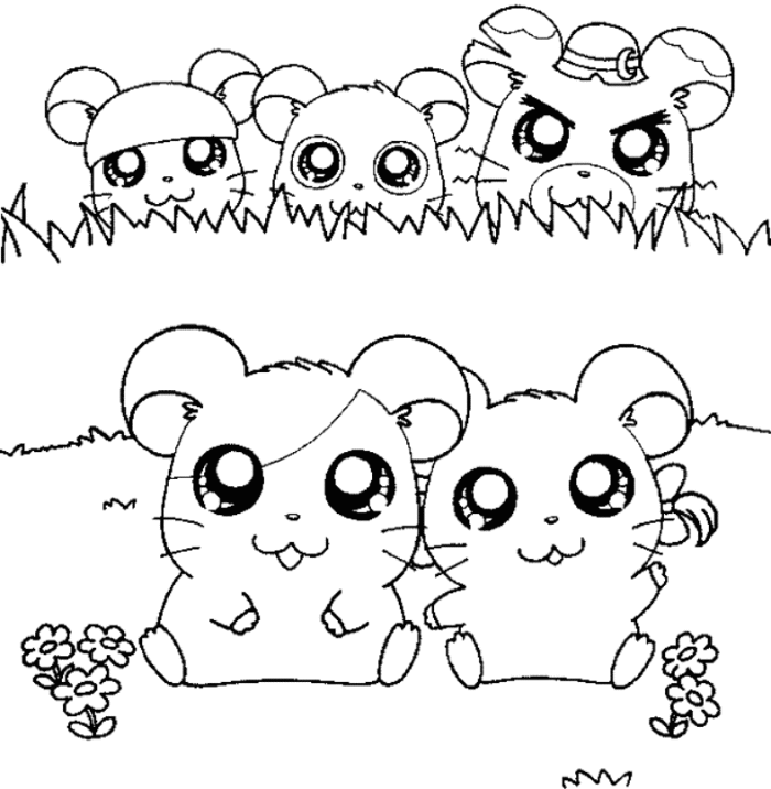 hamster colouring hamster coloring pages only coloring pages colouring hamster 