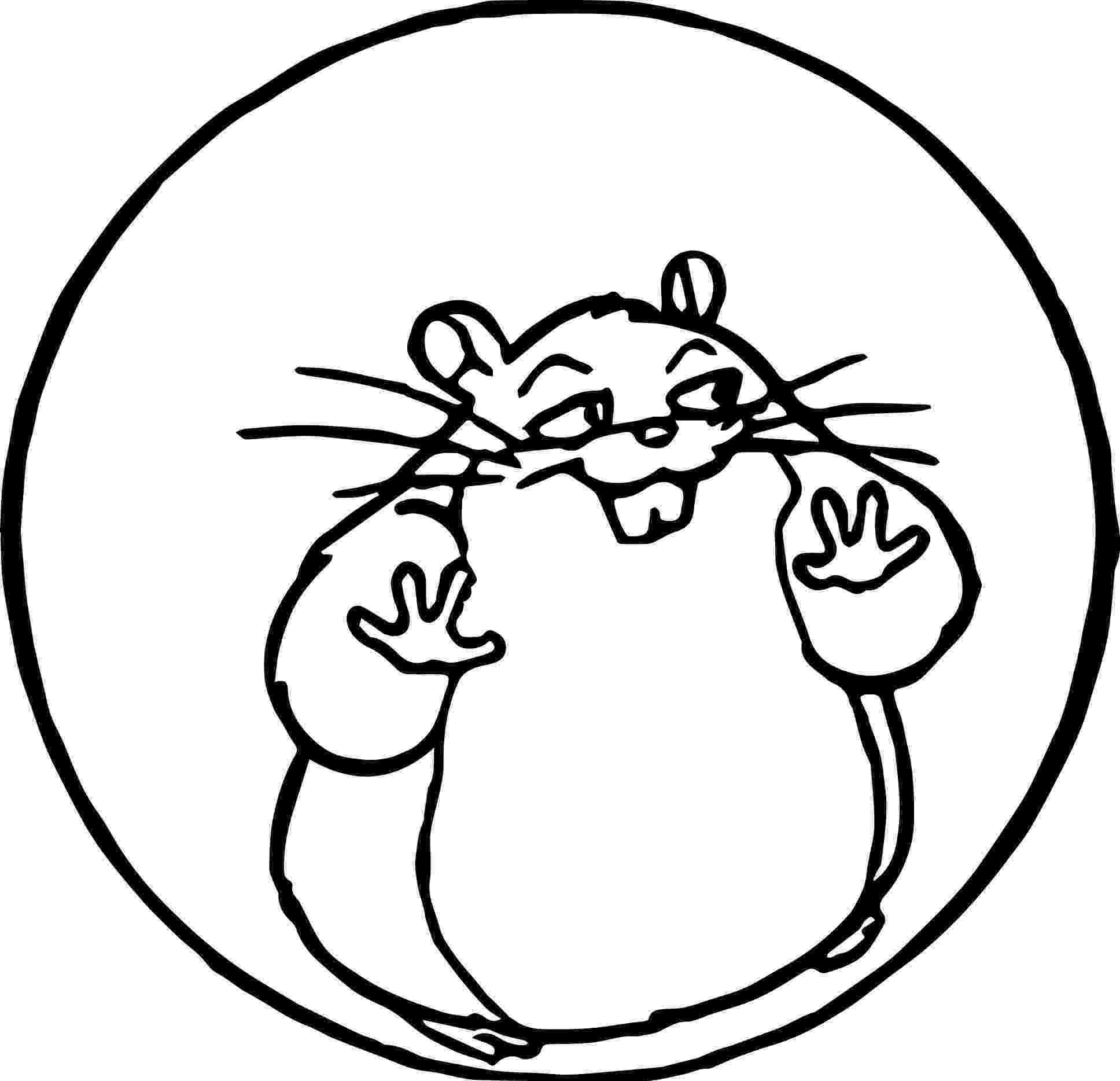 hamster colouring hamster coloring pages to download and print for free colouring hamster 