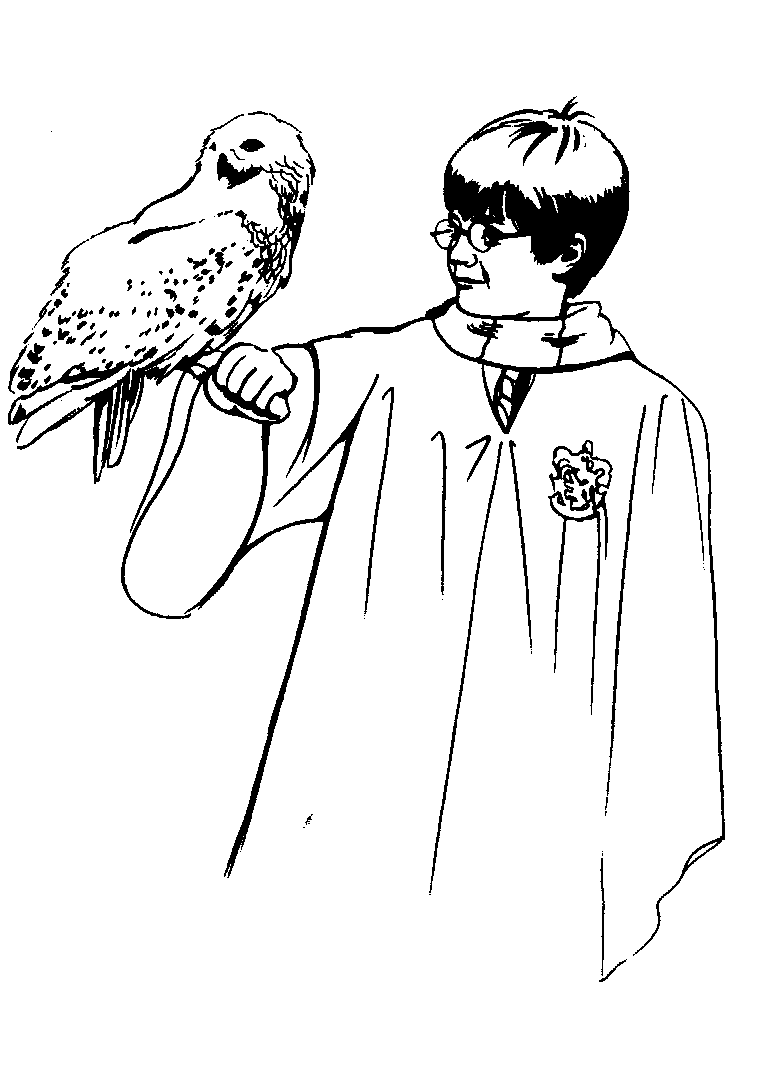 harry potter colouring pictures free printable harry potter coloring pages for kids harry potter pictures colouring 