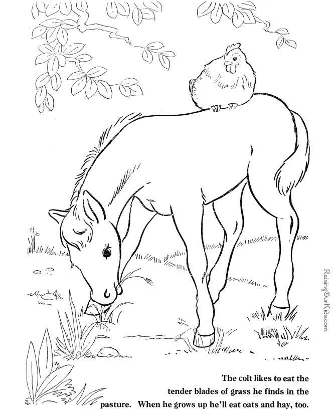 horse coloring games horse colouring games download free spellwalker coloring games horse 