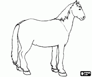 horse coloring games horses coloring pages printable games 3 coloring horse games 