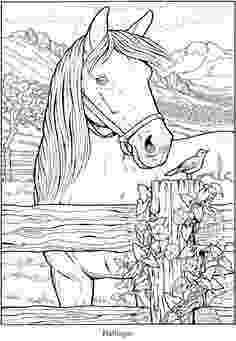 horse coloring sheets free printable baby horse coloring pages getcoloringpagescom sheets coloring printable free horse 