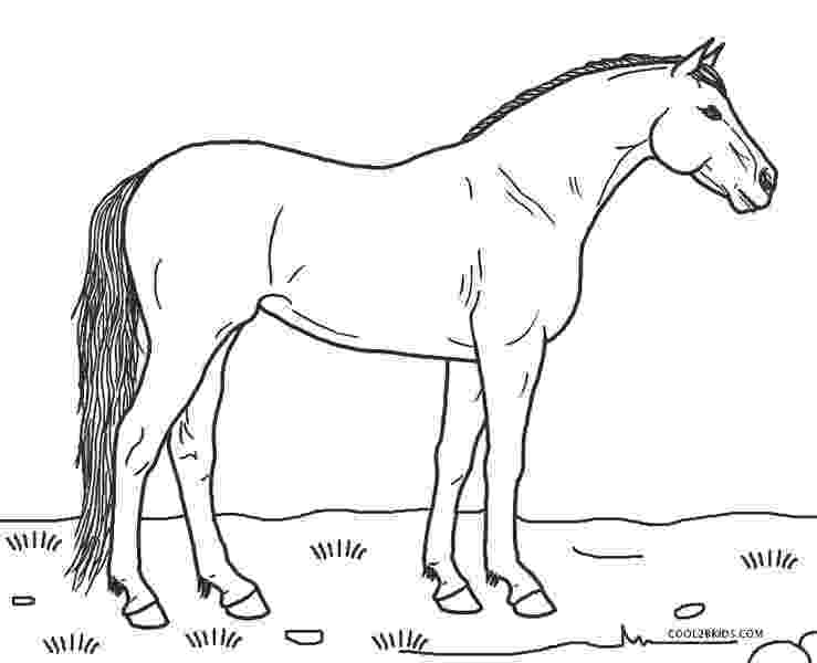 horse coloring sheets free printable free printable horse coloring pages for kids cool2bkids free sheets printable horse coloring 