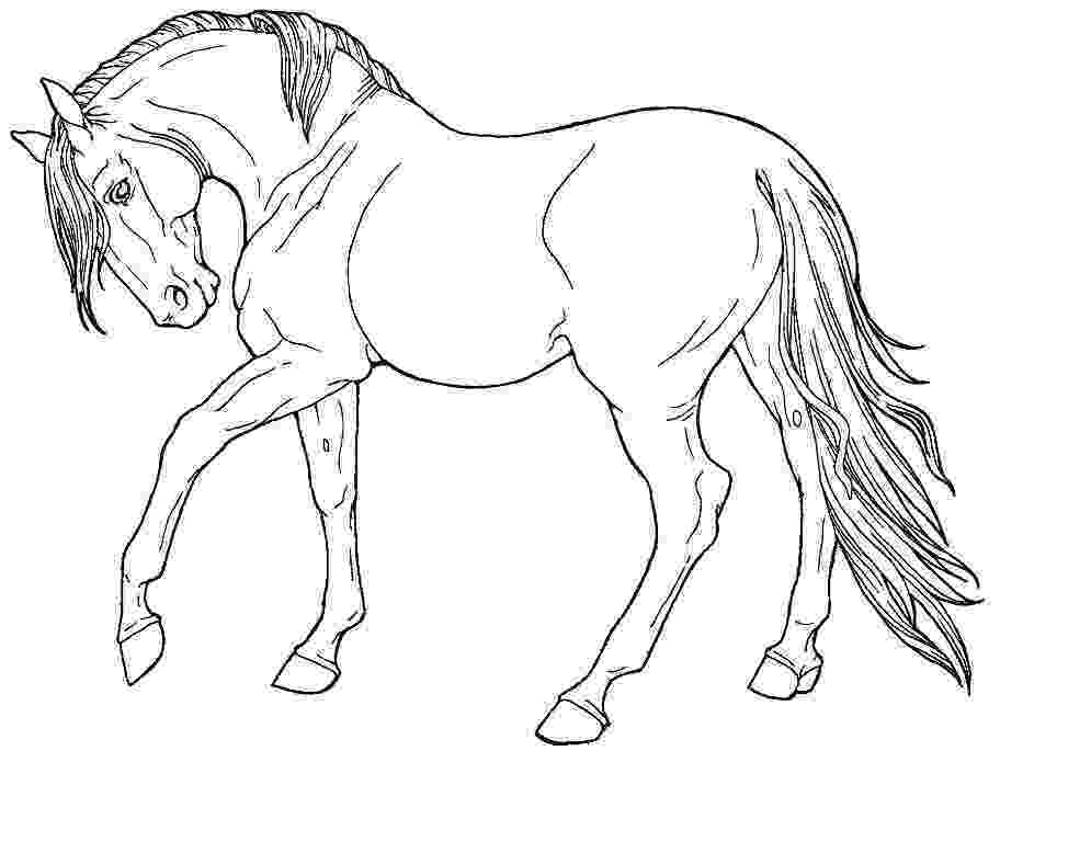 horse coloring sheets free printable horse coloring pages sheets and pictures horse printable coloring free sheets 