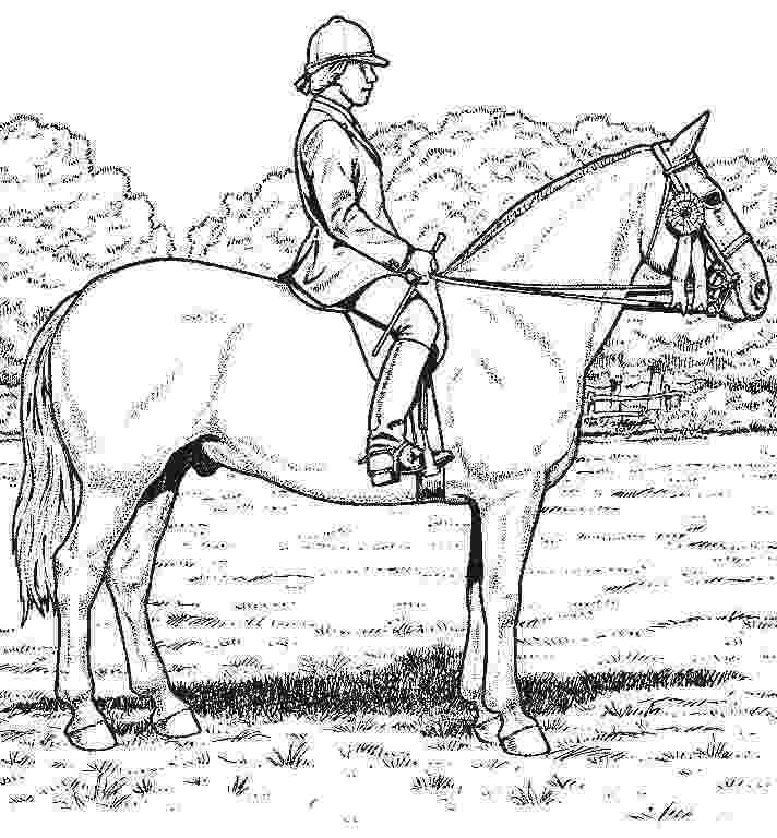 horse coloring sheets free printable realistic horse coloring pages to download and print for free coloring free sheets horse printable 