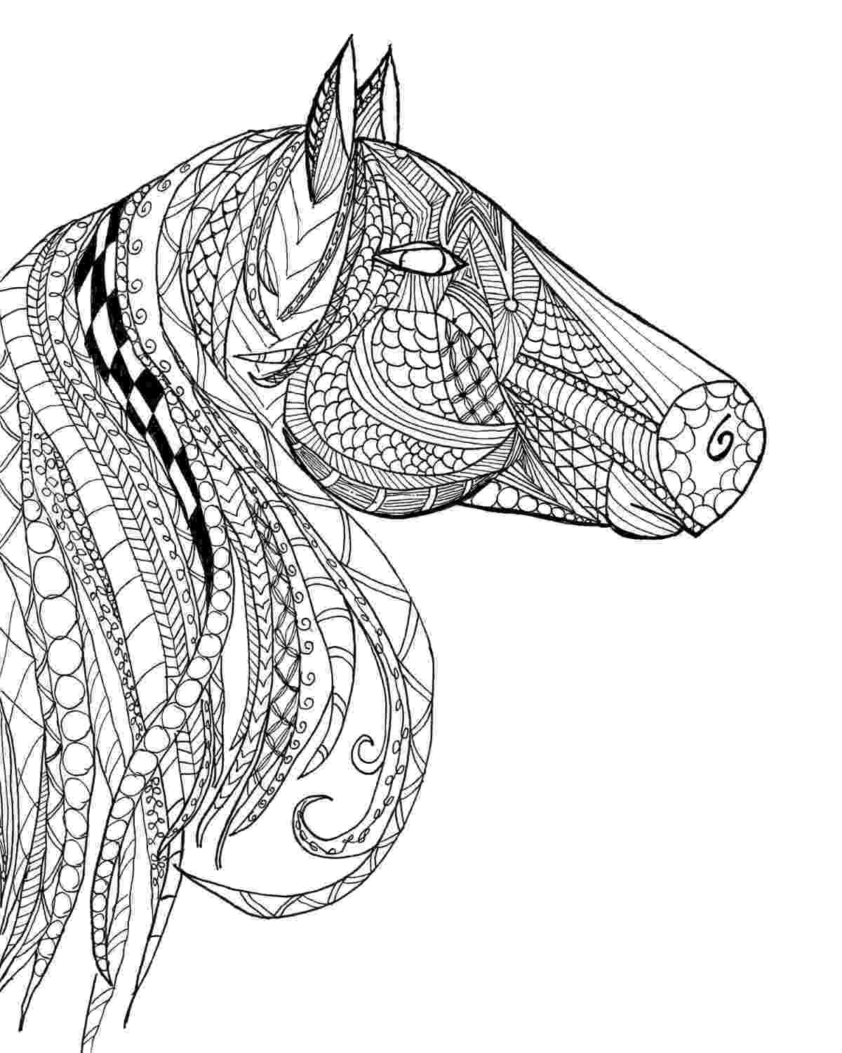 horse colouring pages for adults horse amazing animals colouring pages by joenay adults for colouring pages horse 