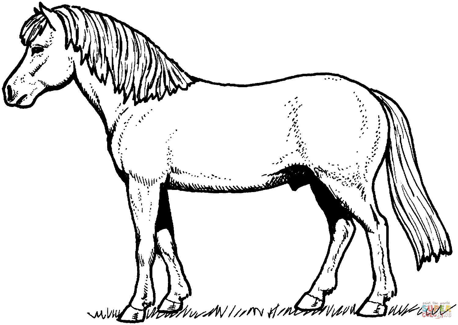 horse picture to color horse pictures for kids printable activity shelter horse color picture to 