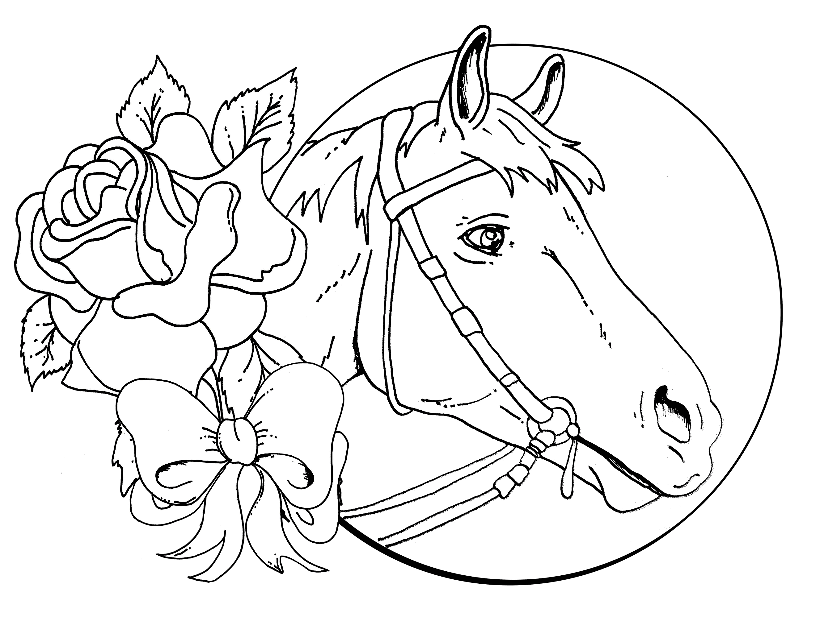 horse picture to color horse riding coloring pages download and print for free color horse picture to 
